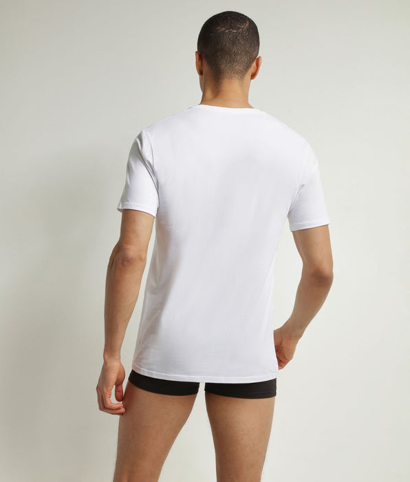 DIM Set van 2 DIM Good biokatoenen V-hals T-shirts Heren Wit Grijs